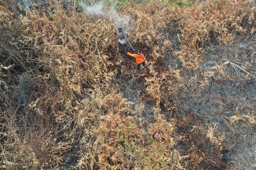 This aerial picture shows Indonesian fire fighters extinguishing a fire in Kampar, Riau province on September 14, 2019. – Illegal fires to clear land for farming are raging on Indonesia’s Sumatra and Borneo islands with firefighters battling round the clock through charred forests, and water-bombing helicopters deployed to douse the flames. (Photo by ADEK BERRY / AFP)