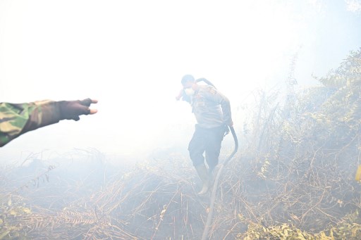 Indonesian firefighters spray water to help extinguish a fire in Kampar on September 16, 2019. – The number of blazes in Indonesia’s rainforests has jumped sharply, satellite data showed on September 12, spreading smog across Southeast Asia and adding to concerns about the impact of increasing wildfire outbreaks worldwide on global warming. (Photo by ADEK BERRY / AFP)
