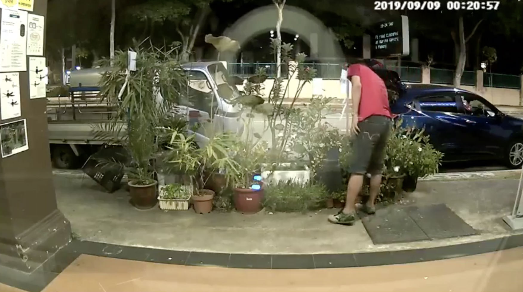 Screenshot of a video showing a man attempting to steal plants in Geylang. Taken from District Singapore’s Facebook page.