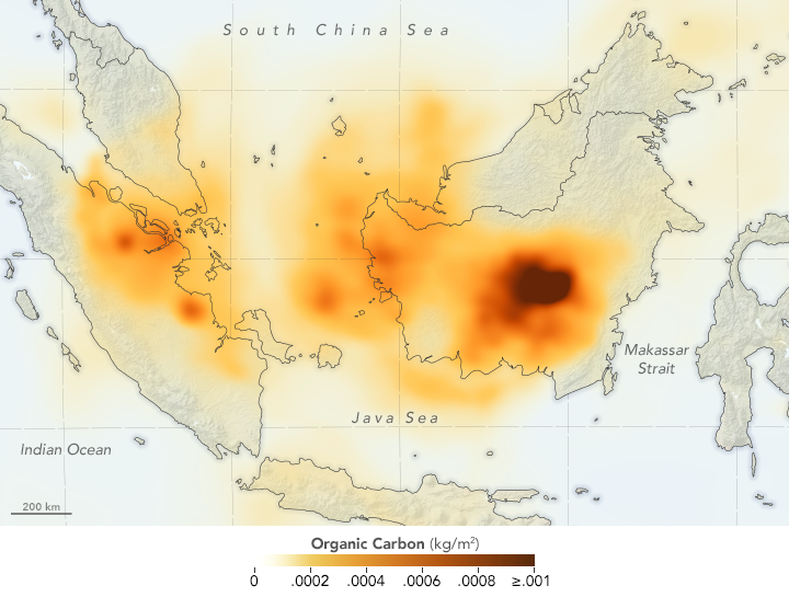 This map shows organic carbon data from September 17, 2019, from the GEOS forward processing (GEOS-FP) model, which assimilates information from satellite, aircraft, and ground-based observing systems. Image: NASA