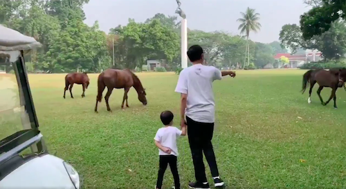 President Joko Widodo going for a morning stroll with his grandson. Photo: Video screengrab from Twitter/@jokowi