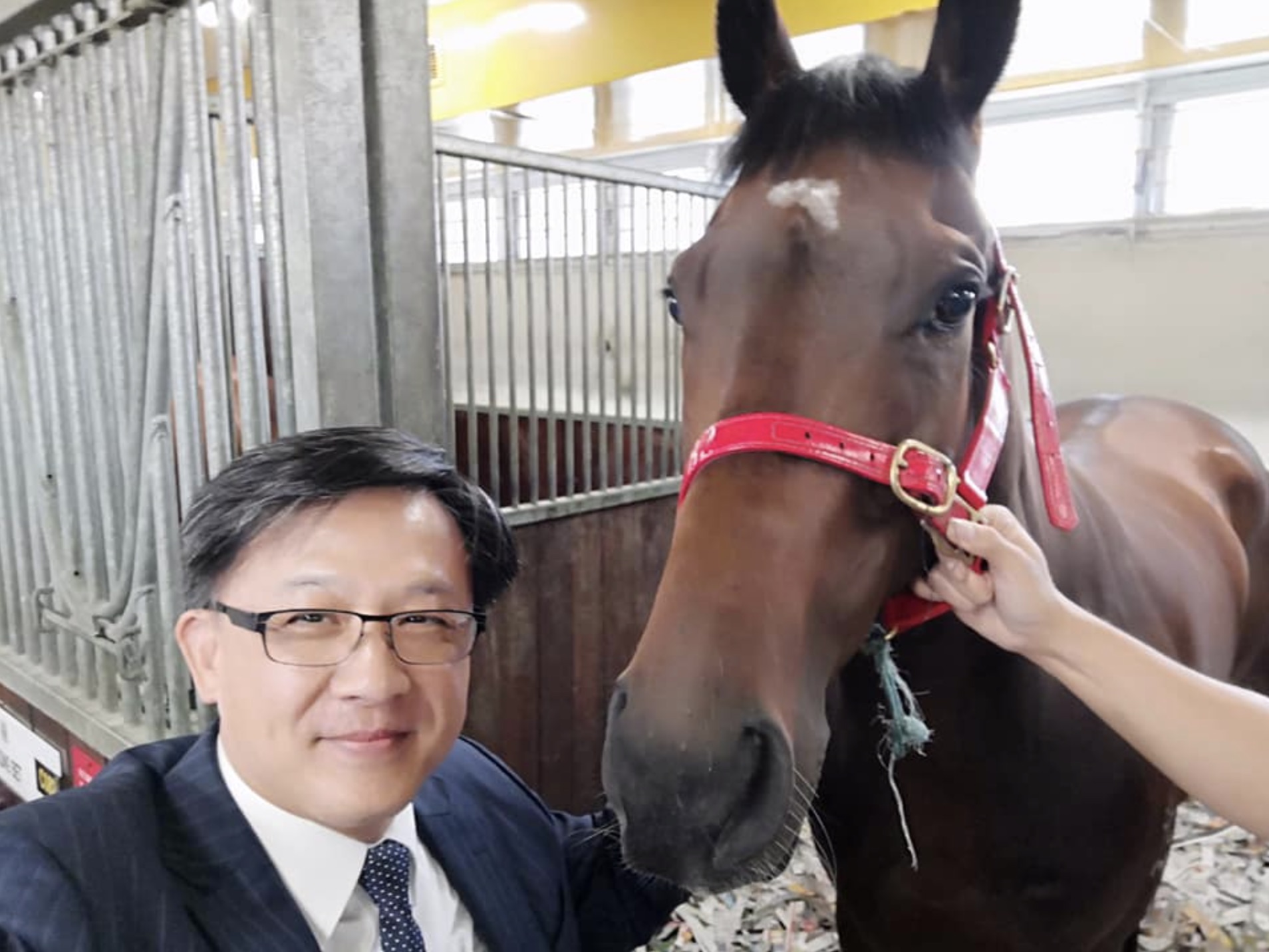 Pro-Beijing lawmaker Junius Ho with “Hong Kong Bet,” a race horse he partly owns. Photo via Facebook/Junius Ho.