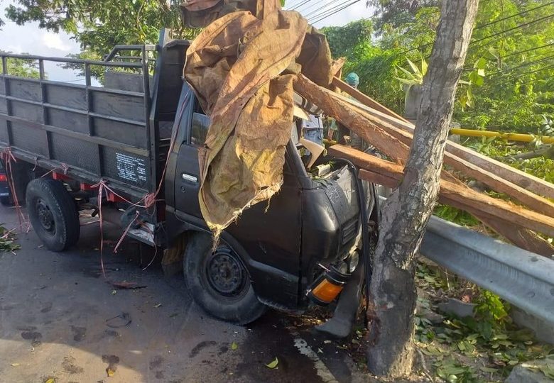 Authorities said that the truck was transporting more than a dozen sea turtles. Photo: Istimewa