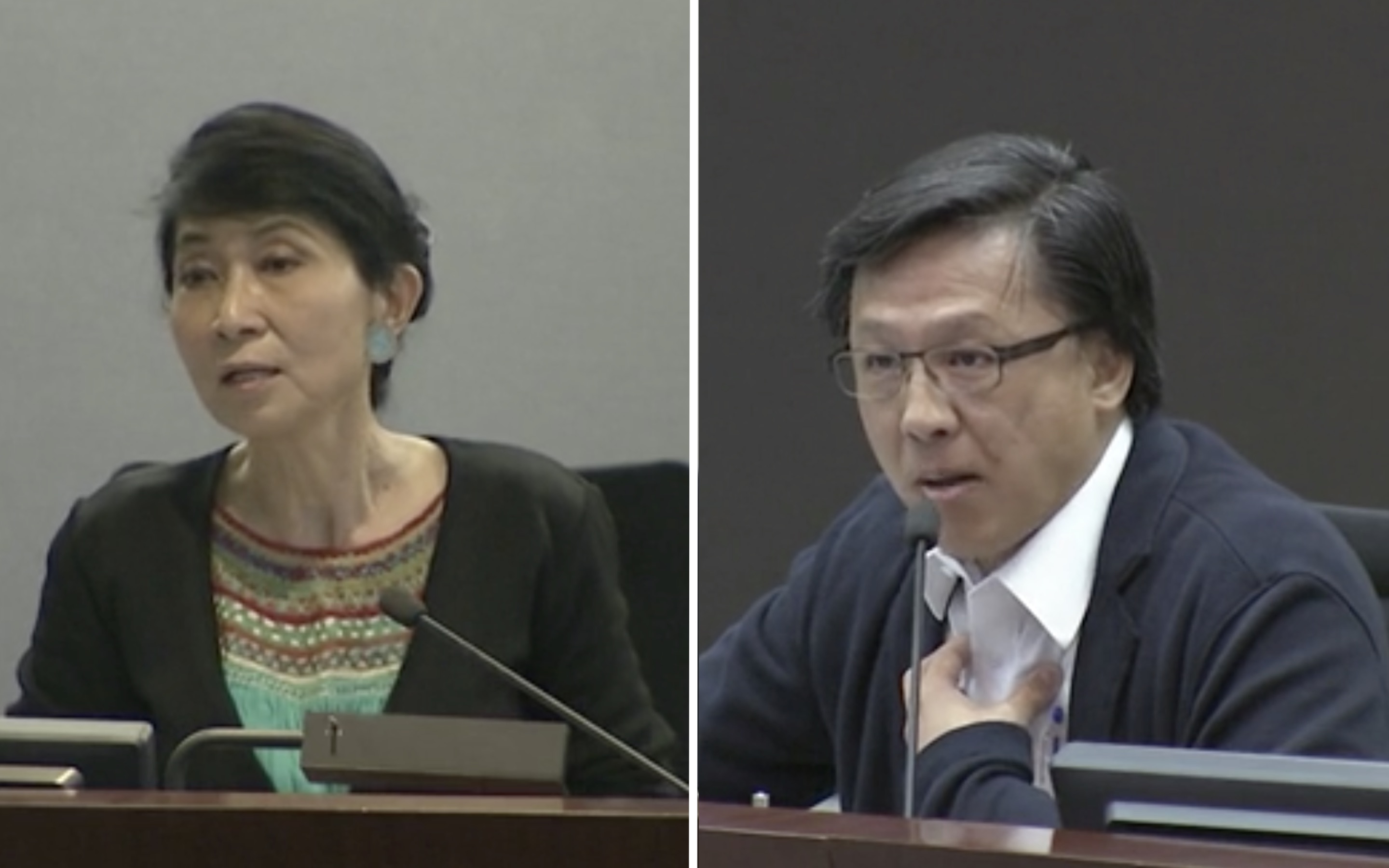 Pro-Beijing firebrand Junius Ho (right) was kicked out of a Legislative Council meeting after saying that pro-democracy lawmaker Claudia Mo (left) ‘eats foreign sausage,’ referencing the fact that Mo’s husband is a British journalist. Screengrabs via Facebook video/RTHK. 