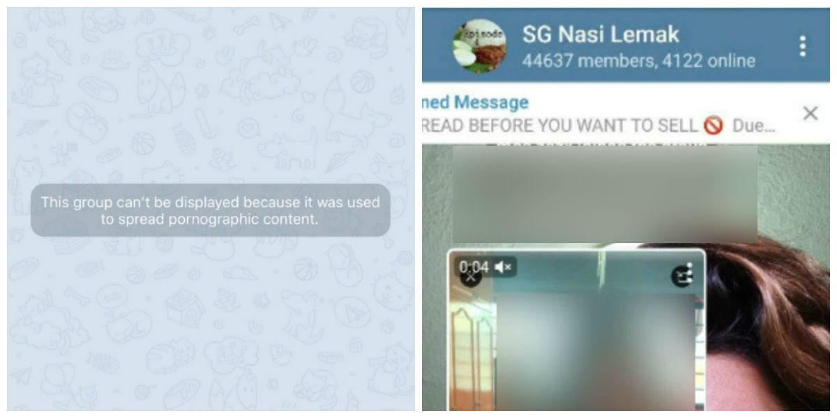 At left, the now-inaccessible SG Nasi Lemak Telegram channel. At right, the Telegram channel when it had more than 40,000 members. 