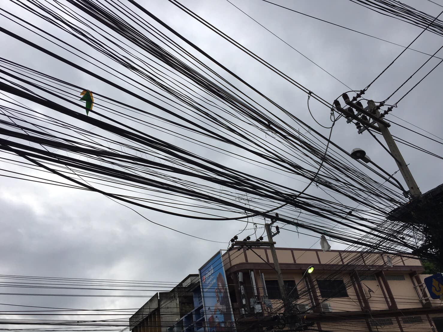 The cable where the incident occurred. Photo: Ester Chill / Facebook 