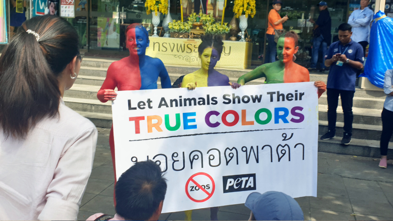 Members of PETA demonstrating at Bangkok’s Pata Zoo Monday. Photo: PETA