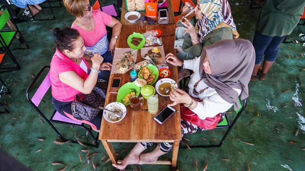 This picture taken on November 15, 2019 shows Indonesian diners having lunch while fish bite their feet at a fish pool restaurant at Wedomartani village in Yogyakarta. The tables and chairs at Soto Cokro Kembang in Indonesia’s cultural capital Yogyakarta sit in ankle-deep water, home to thousands of little fish that munch dead skin off the feet of diners. Photo: OKA HAMIED / AFP