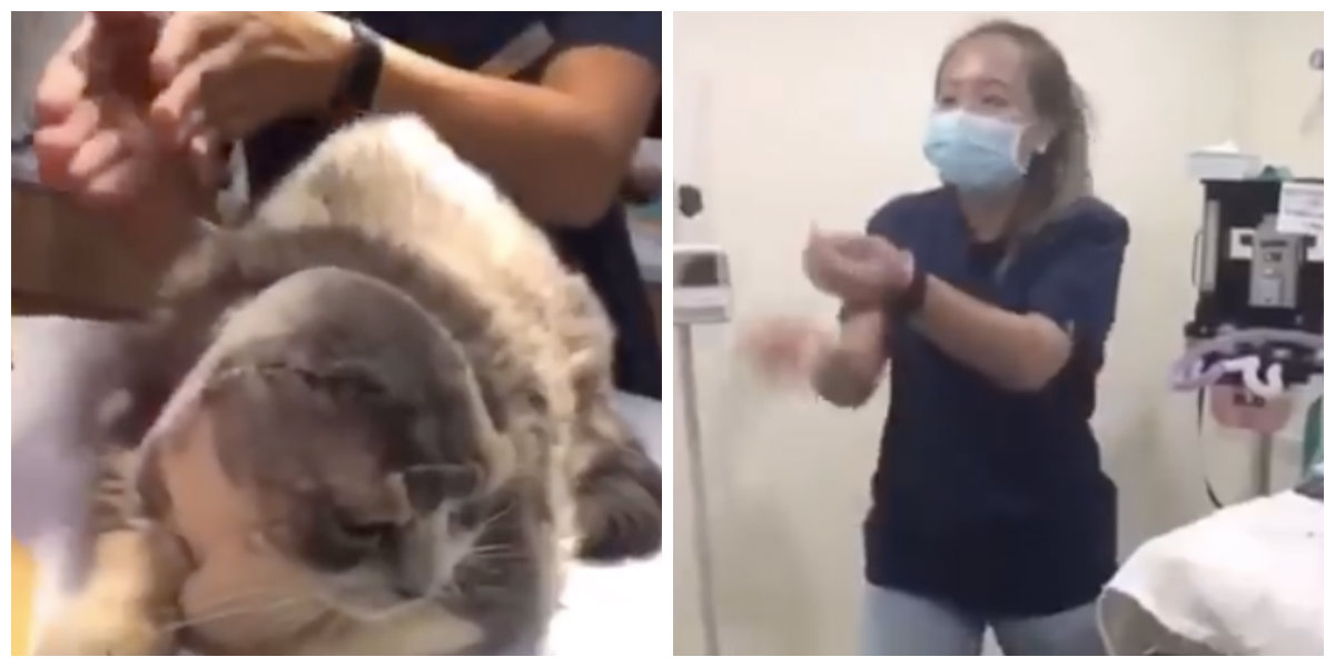 Pasir Ris clinic suspends two over videos of nurses making fun of deaf