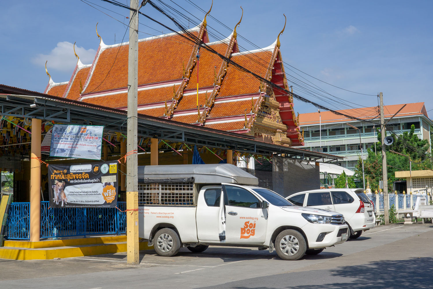 Photo: Soi Dog Foundation / A Soi Dog van at a temple in Bangkok. Sadly, temples are often “dumping grounds” for unwanted dogs and cats.