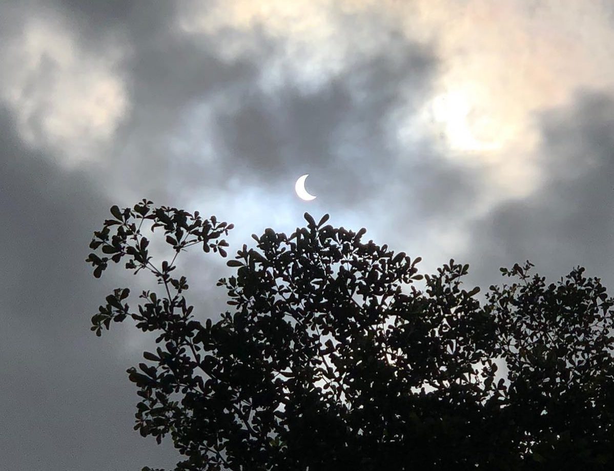 Partial eclipse captured from Jurong Lake Gardens at nearly 1pm. Photo: Dorothea Anastasia Poh/Facebook