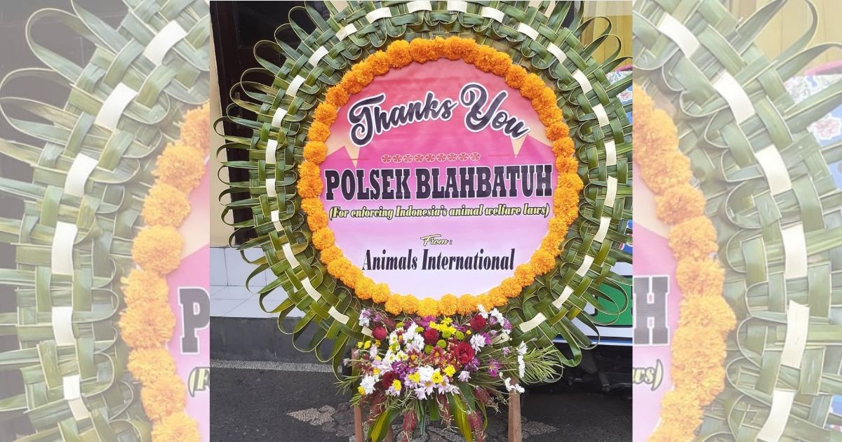 One of the flower boards at Blahbatuh Police Station. Photo: Bali Animal Defender / Instagram