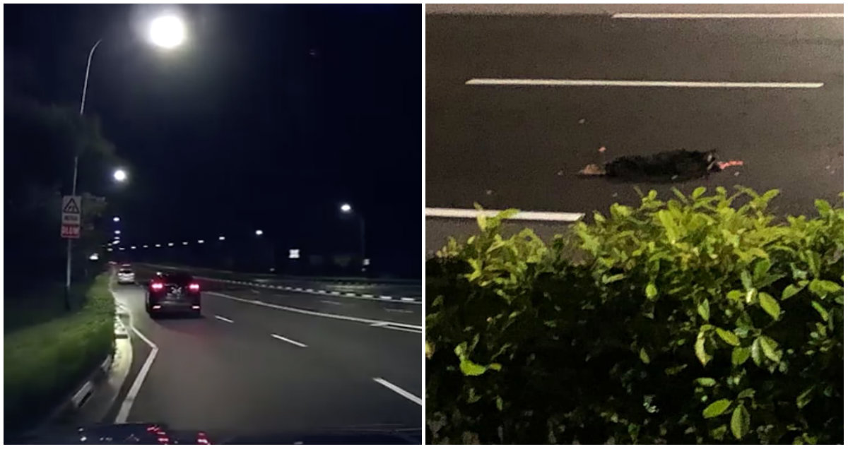At left, dashcam footage of car dog was thrown out of. At right, dead dog lying on the road. Photos: Veron Ng/Facebook