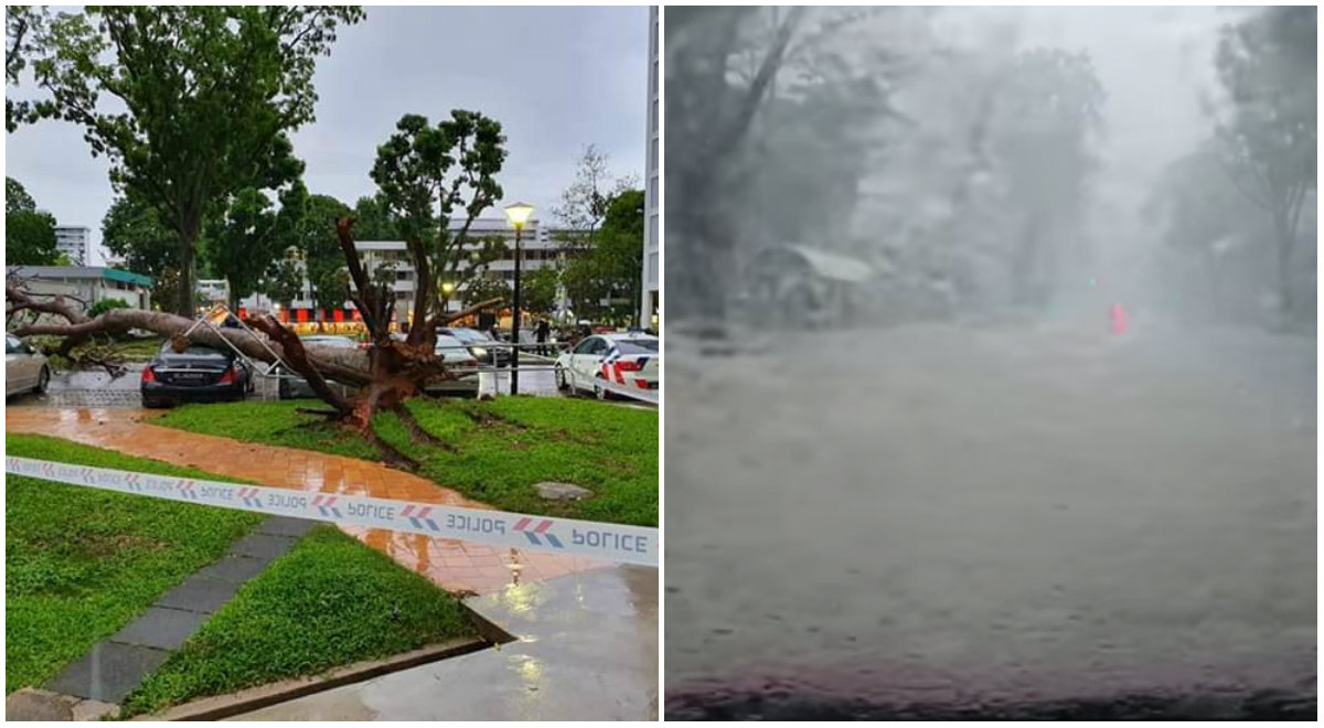 A toppled tree in Bedok North, at left. Flash floods in Choa Chu Kang, at right, on Monday. Photos: Singaporeroadaccidents.com/Facebook, District Singapore/Facebook.