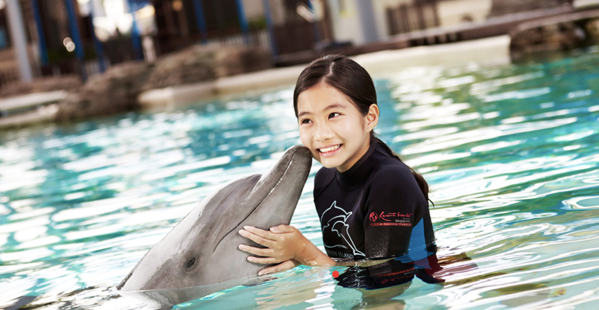 Dolphins forced to perform, take photos and be touched by visitors to Dolphin Island at Resorts World Sentosa in Singapore. Photo: Resorts World Sentosa