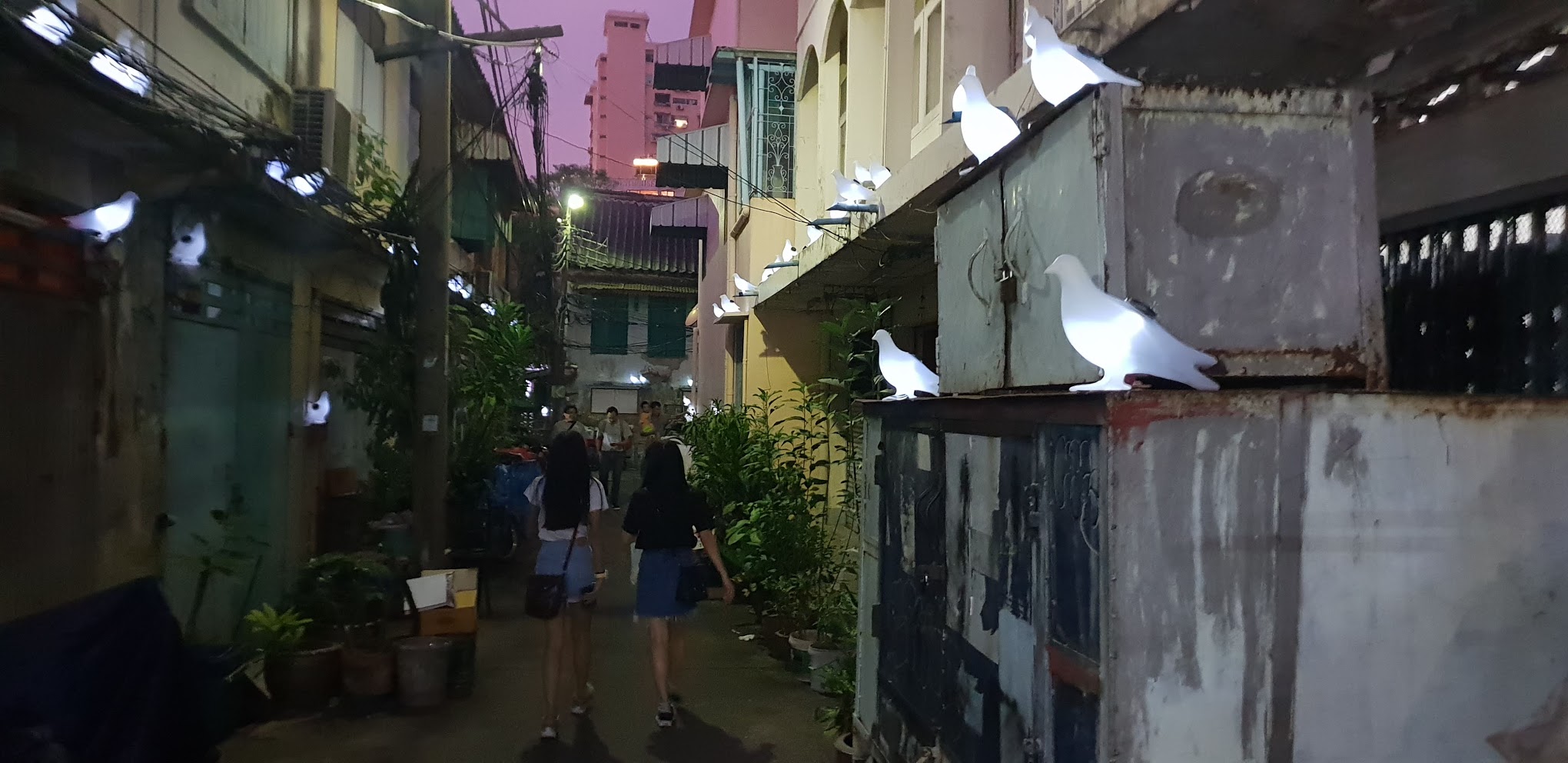 Glowing pigeons line a small alley in Talad Noi for Bangkok Design Week 2019. Photo: Coconuts