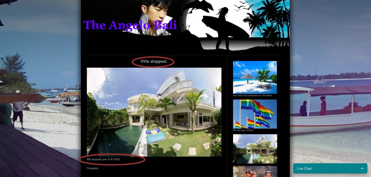 Screenshot of the villa’s website. 