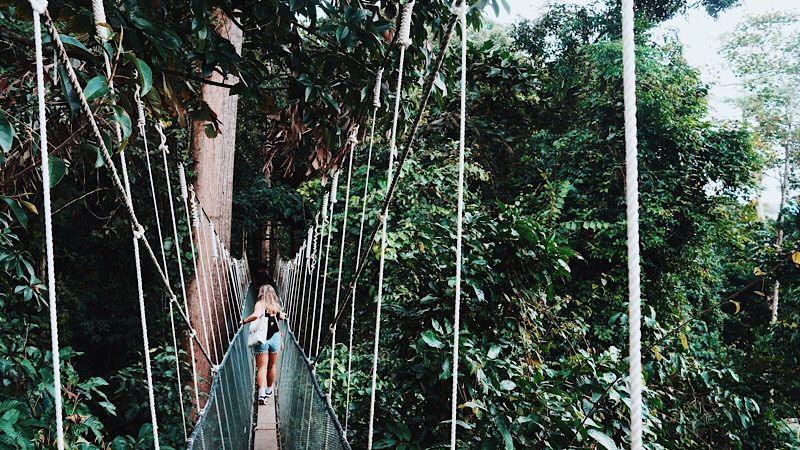 The canopy walk. Hang on tight. Photo: Coco Travel