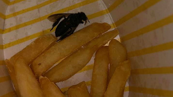 Winged dead insect at the bottom of McDonald’s french fries. Photo: Ja-ne Yeo/Facebook