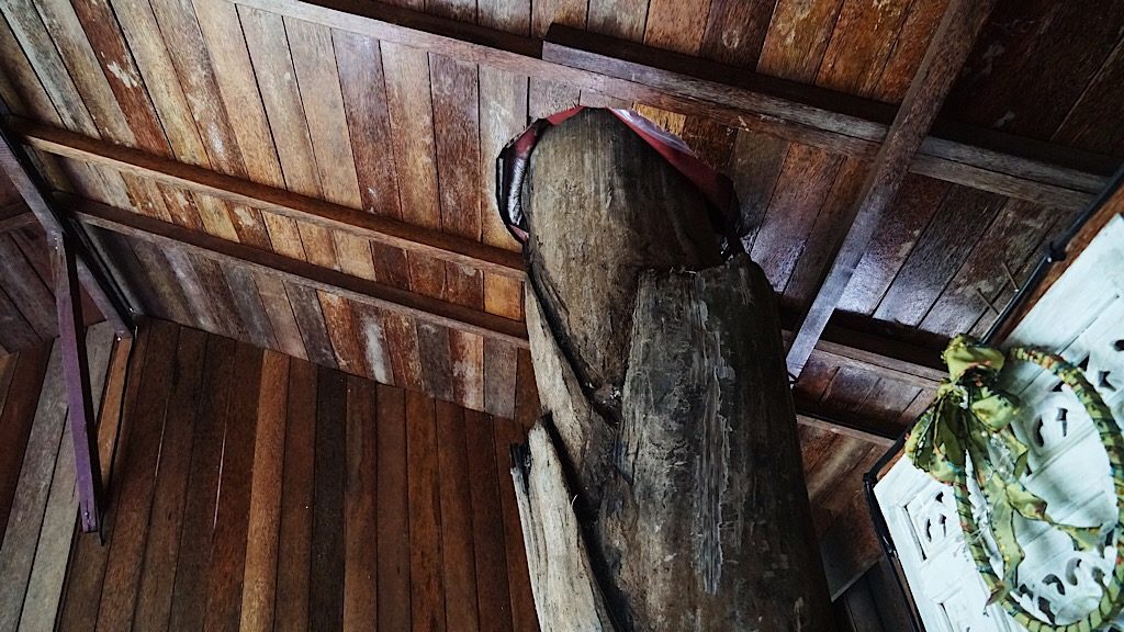 Tree through the roof. Photo: Coco Travel
