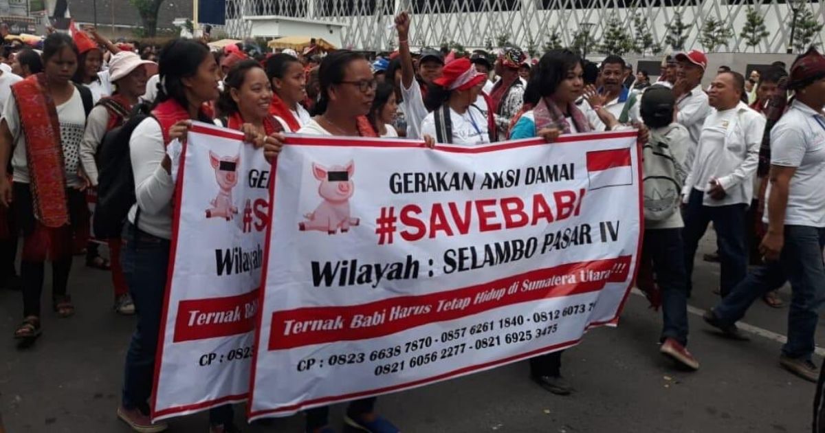 Hundreds of people who refer to themselves the #SaveBabi (Save Pigs) movement staged a peaceful protest in front of the North Sumatra Regional Representative Council (DPRD) building in Medan yesterday to reject reported plans to cull pigs following tens of thousands pig deaths caused by the African swine fever (ASF) in the province. Photo: Twitter
