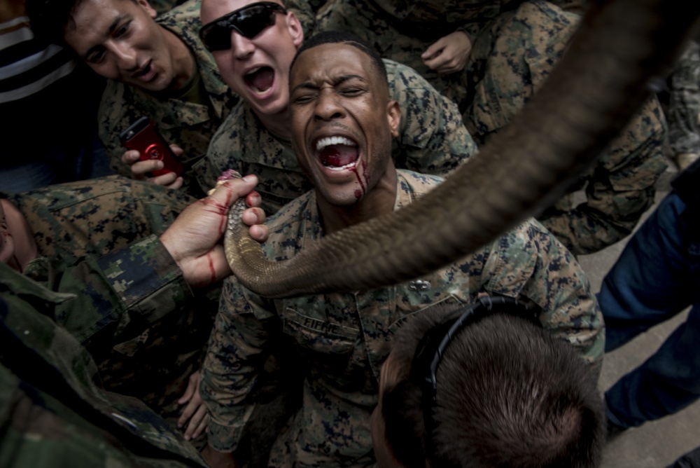 Soldiers drink the blood of a dead snake during Cobra Gold 2018. Photo: Staff Sgt. Micaiah Anthony / U.S. Air Force