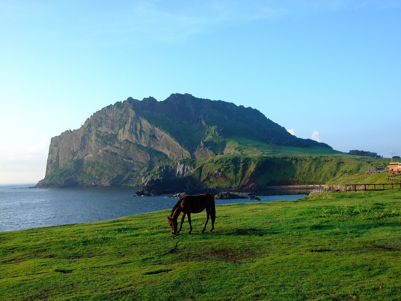 Jeju Island. Photo: Pixabay