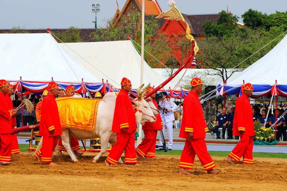 A file photo of the royal ploughing ceremony in Thailand. Photo: Tris_T7 / Wikimedia Commons
