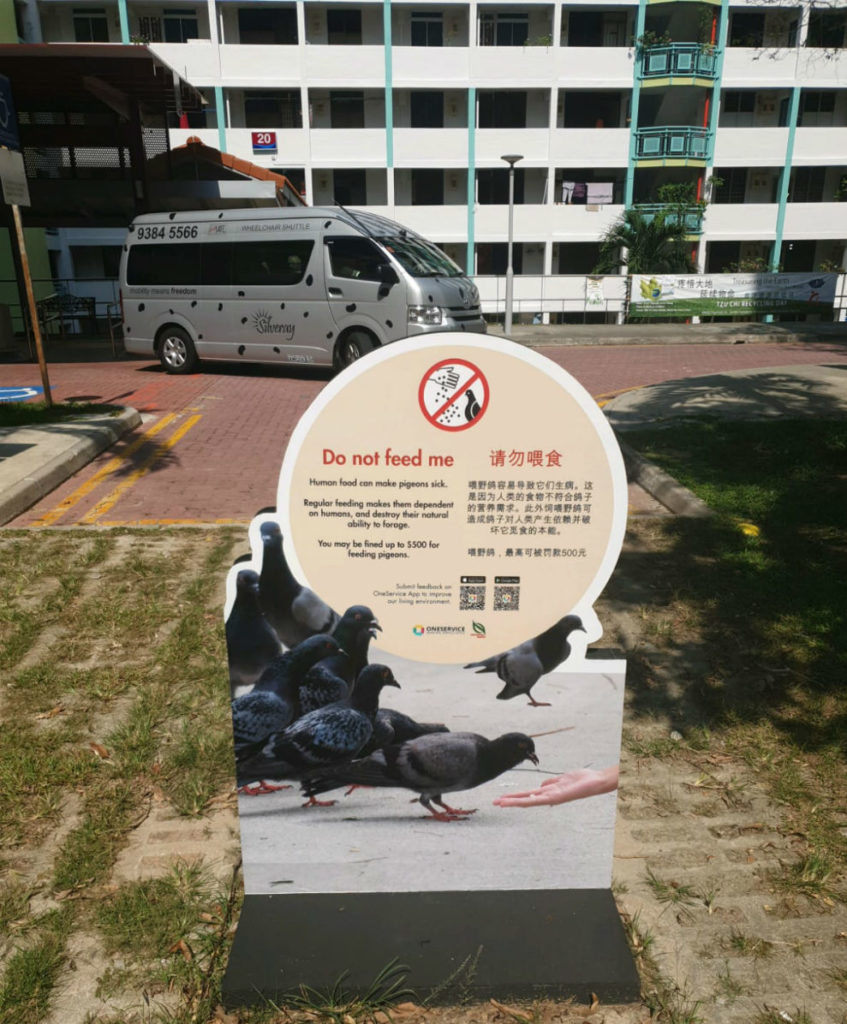 A sign warning residents against feeding pigeons or risk a S$500 fine. Photo: Robin Hicks