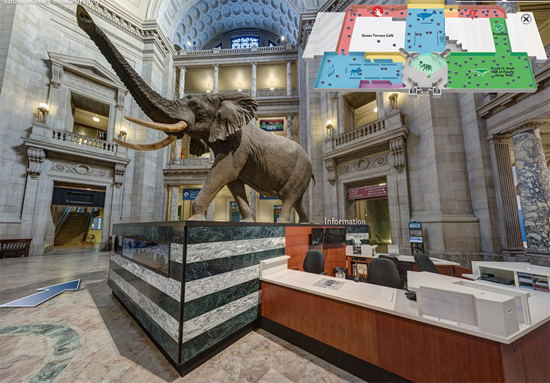 Image: Smithsonian National Museum of Natural History