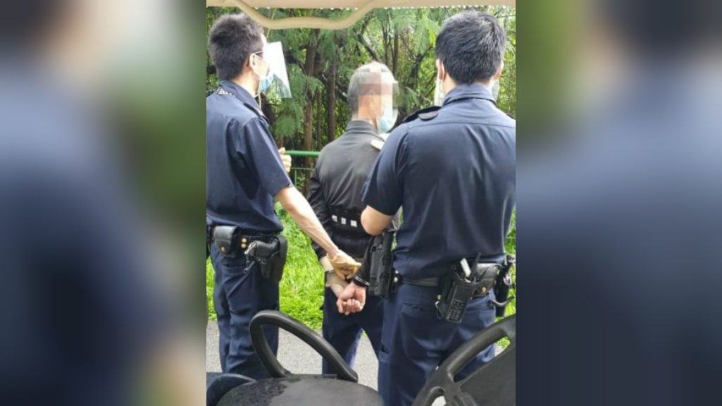 Police officers handcuff suspect who allegedly stabbed a safe distancing officer. Photo: Singapore Police Force