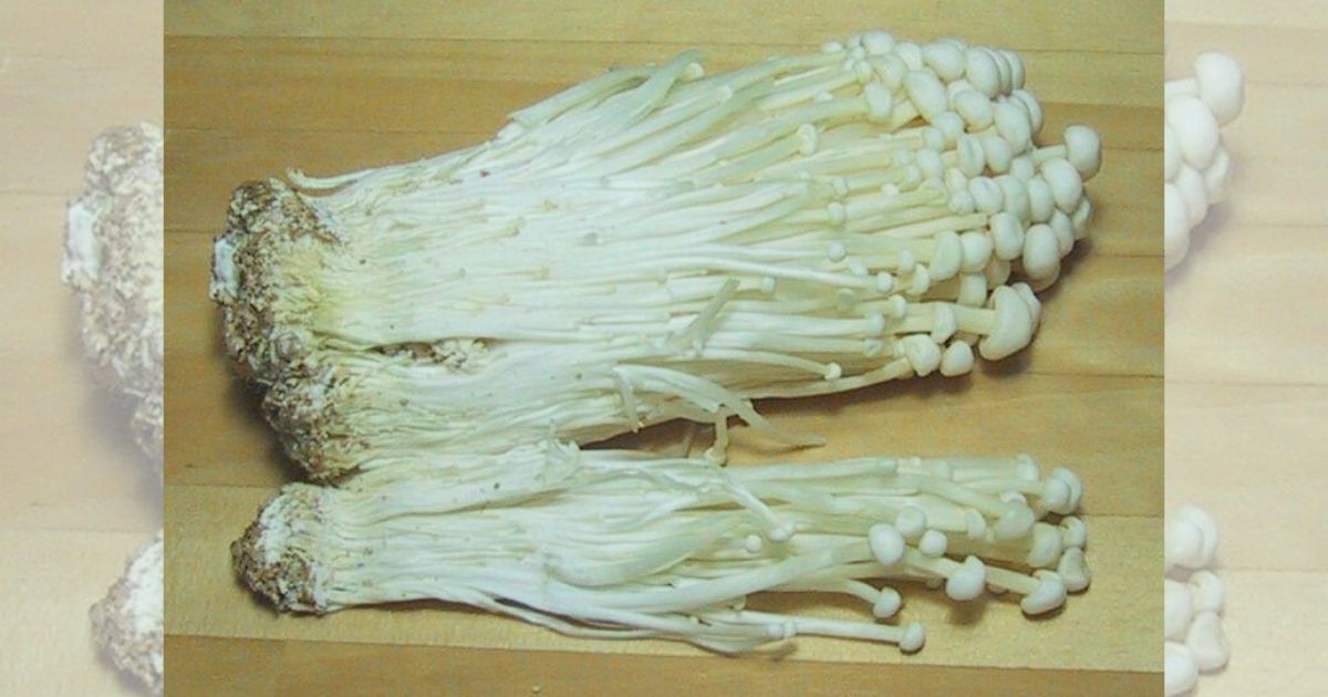 Imported Korean enoki mushrooms sprout listeriosis concerns in