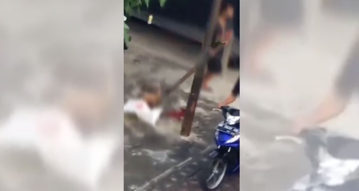 A screenshot from a video taken by a bystander. Screenshot: Instagram 