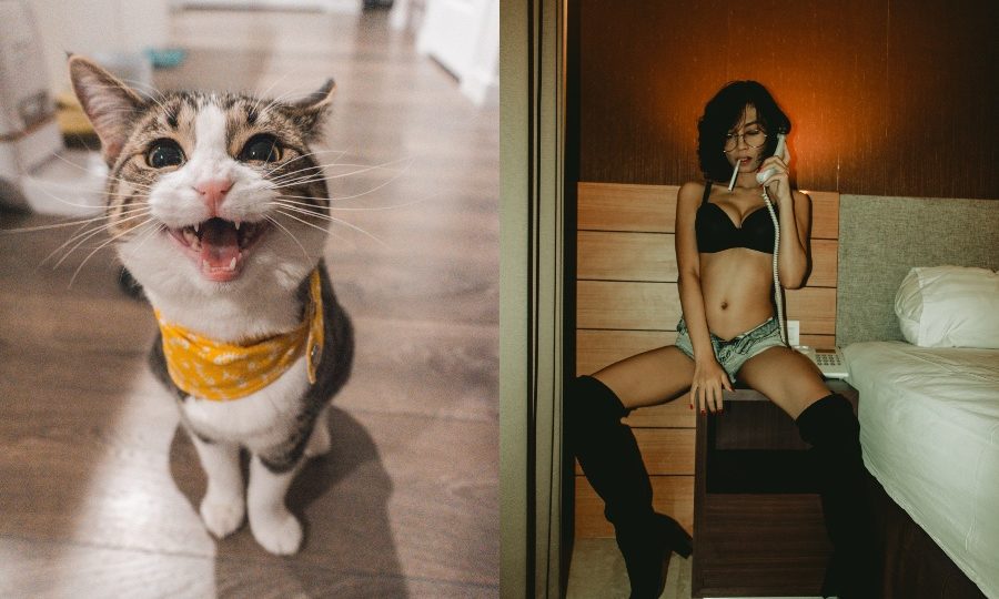 A cat (left) and a woman speaking on the phone (right). Photos: HH13 and Aminoz B

