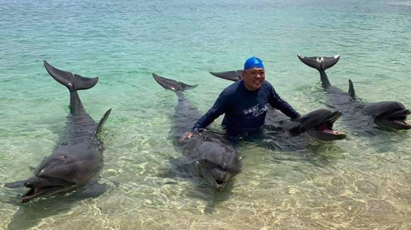 Roque cozying it up with dolphins in a now-deleted Ocean Adventure photo <i></noscript>Video grab via 24 Oras / YouTube</i>
