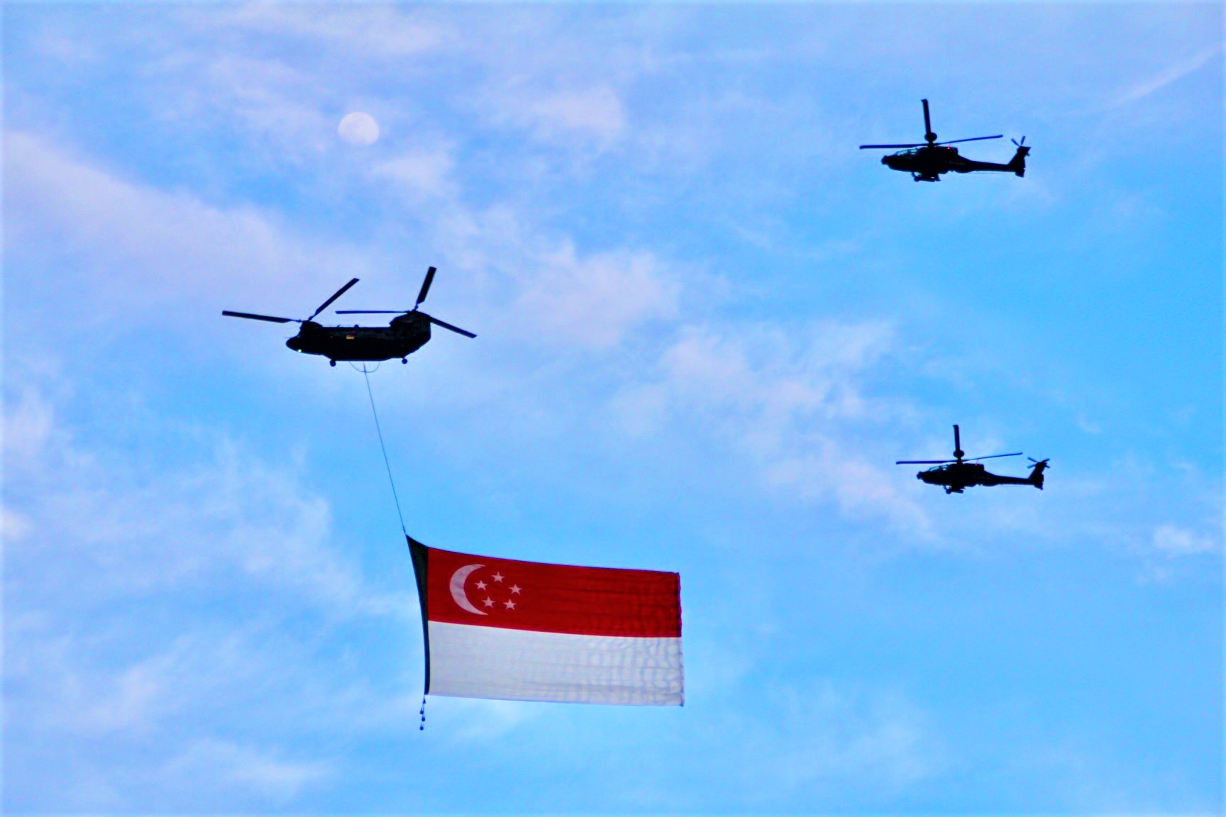 State flag flypast. Photo: NDP website