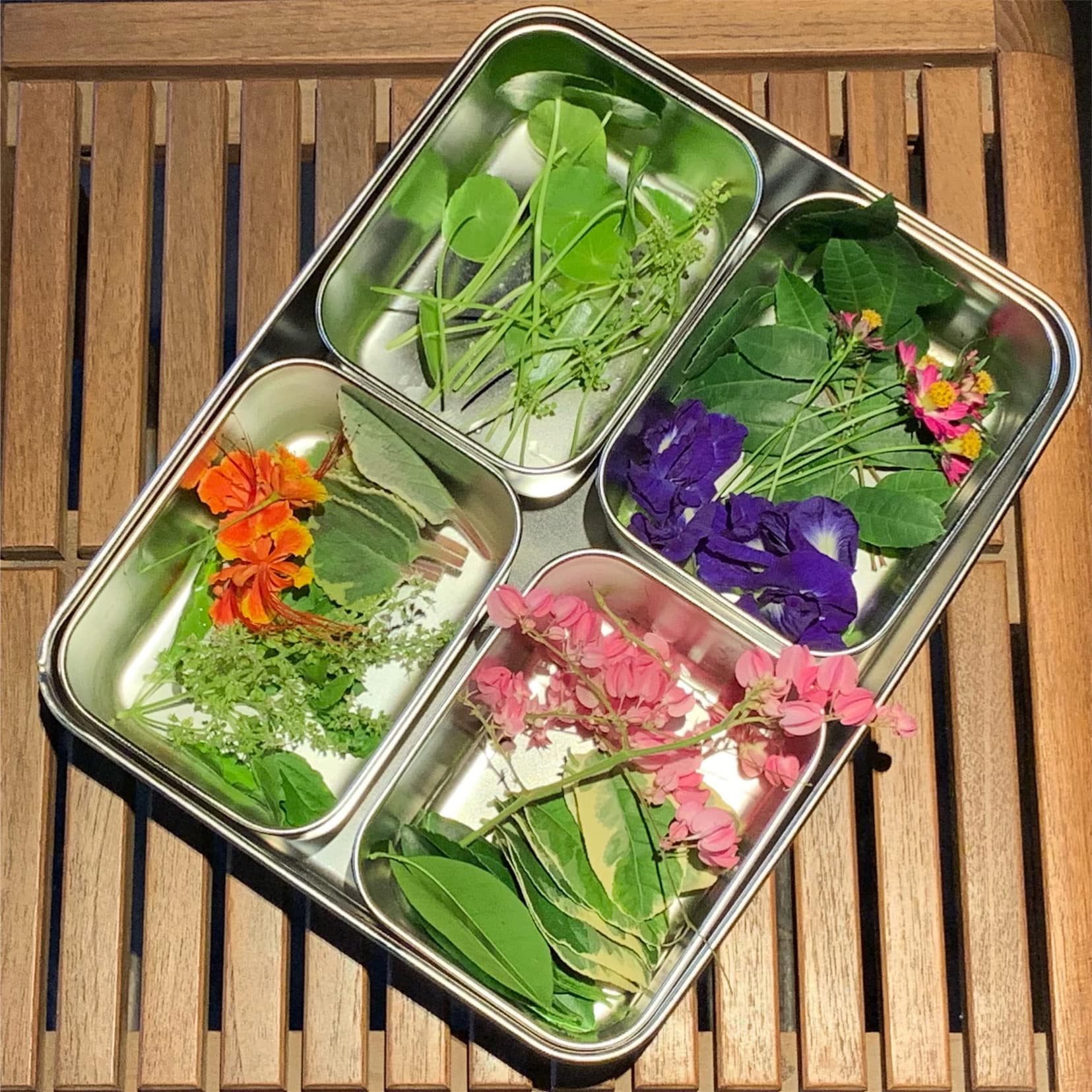 Water pennywort, butterfly pea, broadleaf thyme, coral vine are among plants picked from Bo.lan’s garden for Wasteland’s cocktail concoctions. Photo: Wasteland / Courtesy