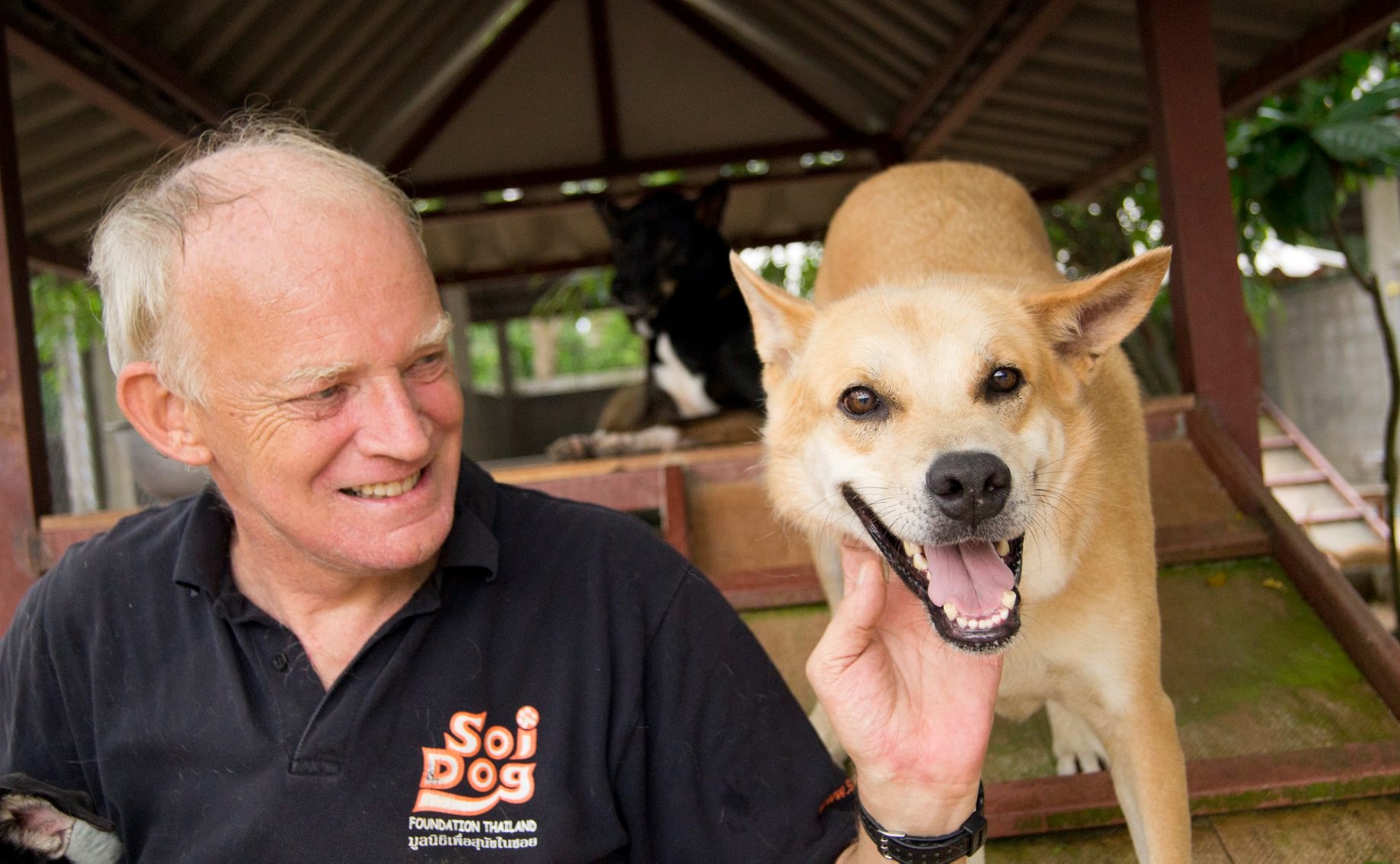 Soi Dog Foundation co-founder John Dalley and a rescued dog. Photo: Soi Dog Foundation / Courtesy