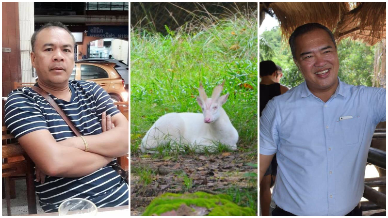  Songkhla Zoo veterinarian Phuwadol Suwanna, at left, shot to death national zoo director-general Suriya Saengpong, at right, after he was transferred over the zoo’s missing albino deer, at center. Photos: Songkhla Zoo, Suriya Saengpong / Facebook