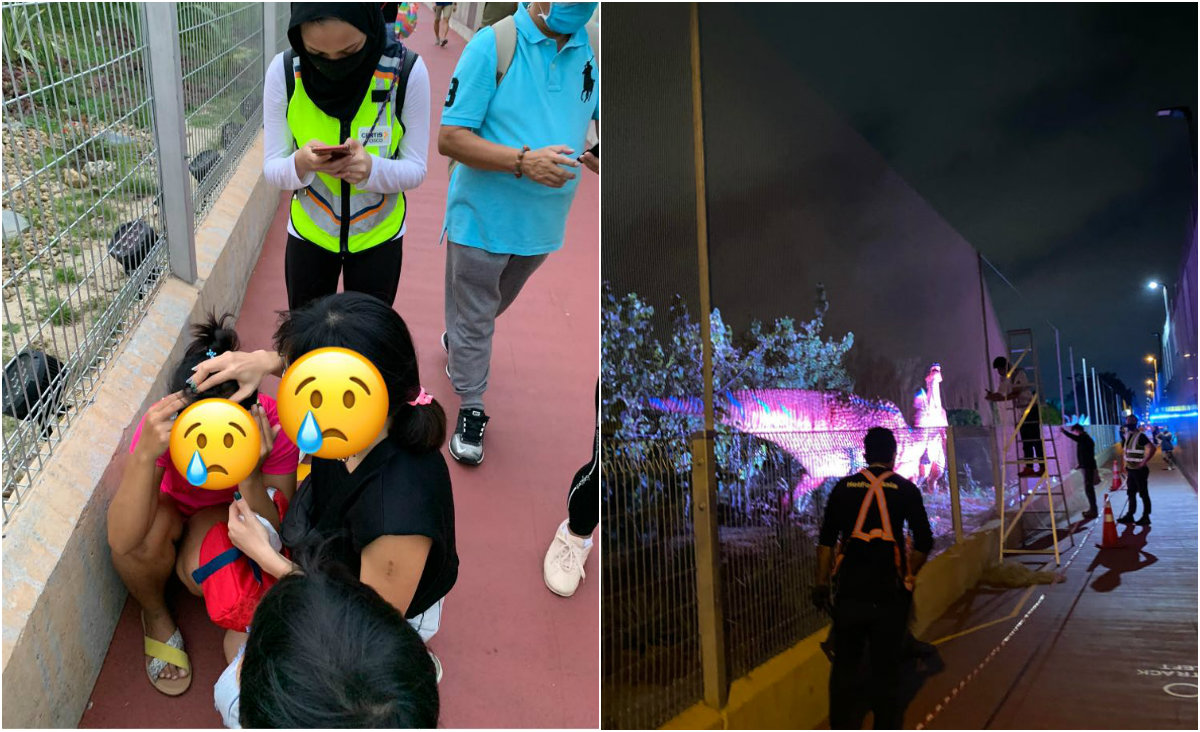 At left, a woman, in pink, after reportedly being hit by a golf ball along Singapore’s new Changi Jurassic Mile trail. At right, workers erect protective netting. Photos: Derek Yap/Facebook, Sgsriram/Reddit
