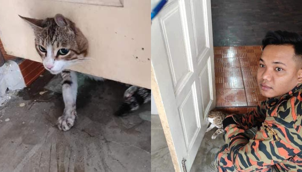 Cat with head stuck, at left, and a fireman trying to comfort the cat, at right. Photos: Info Roadblock JPJ Polis/Facebook
