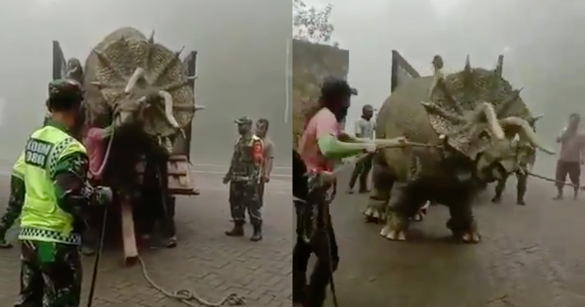 A video showing a triceratops (yes, the dinosaur) being unloaded from a truck has become a source of amusement and wonder for Indonesians on social media lately, prompting netizens to question if 2020 can get any weirder. Screenshot from Twitter/@PengendaliiApi & Instagram/@mojosemiforestpark