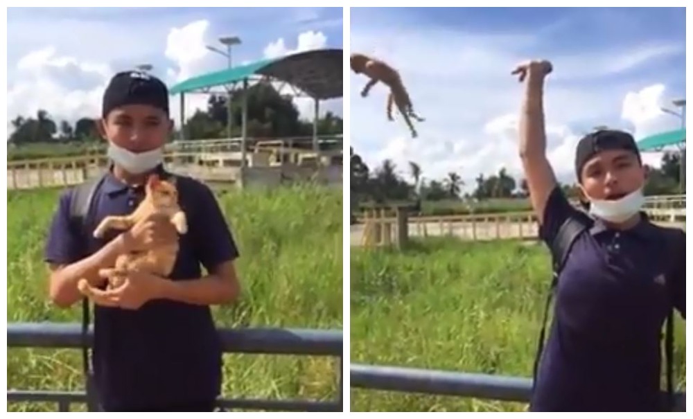 Scenes from a video of a student holding the cat, at left, and then tossing it, at right. Photos: Malaysian Animal Association/ Facebook