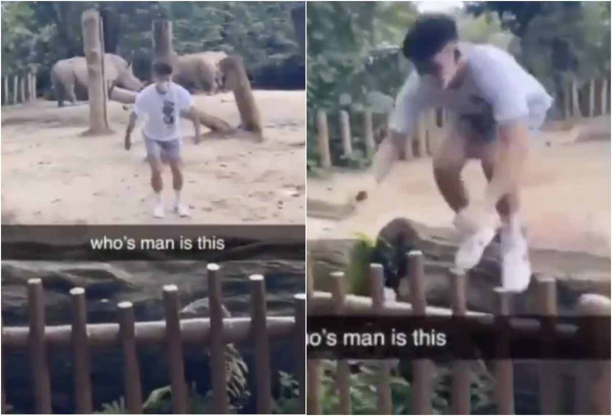 Screengrabs from a TikTok video of ‘Ralph Wee’ trespassing into the rhino enclosure at the Singapore Zoo. Photos: Ralph Wee/TikTok
