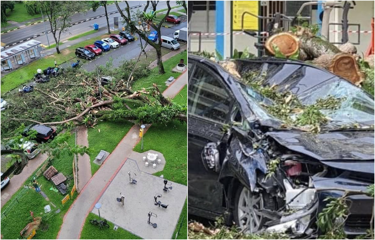 At left, the fallen tree at the open air carpark and one of the wrecked cars, at right. Photos: SGRV Admin/Facebook 
