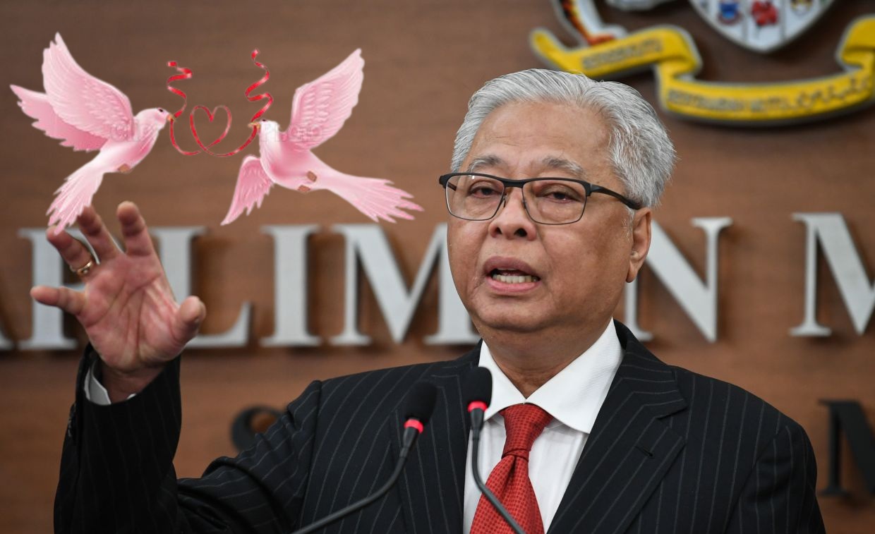 Pink doves edited on a photo of Ismail Sabri Yaakob. Photo: Coconuts