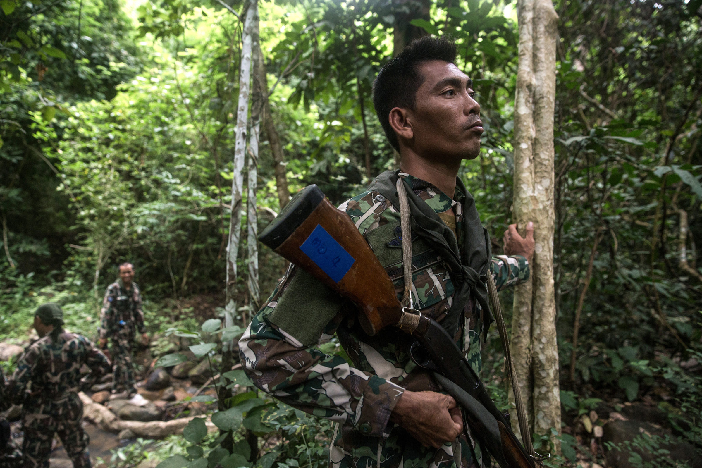 Crack teams of forest rangers patrol Thailand’s Ta Phraya National Park, part of a protracted, bloody struggle to prevent the illegal logging and trafficking of Siamese rosewood. Photo: Luke Duggleby