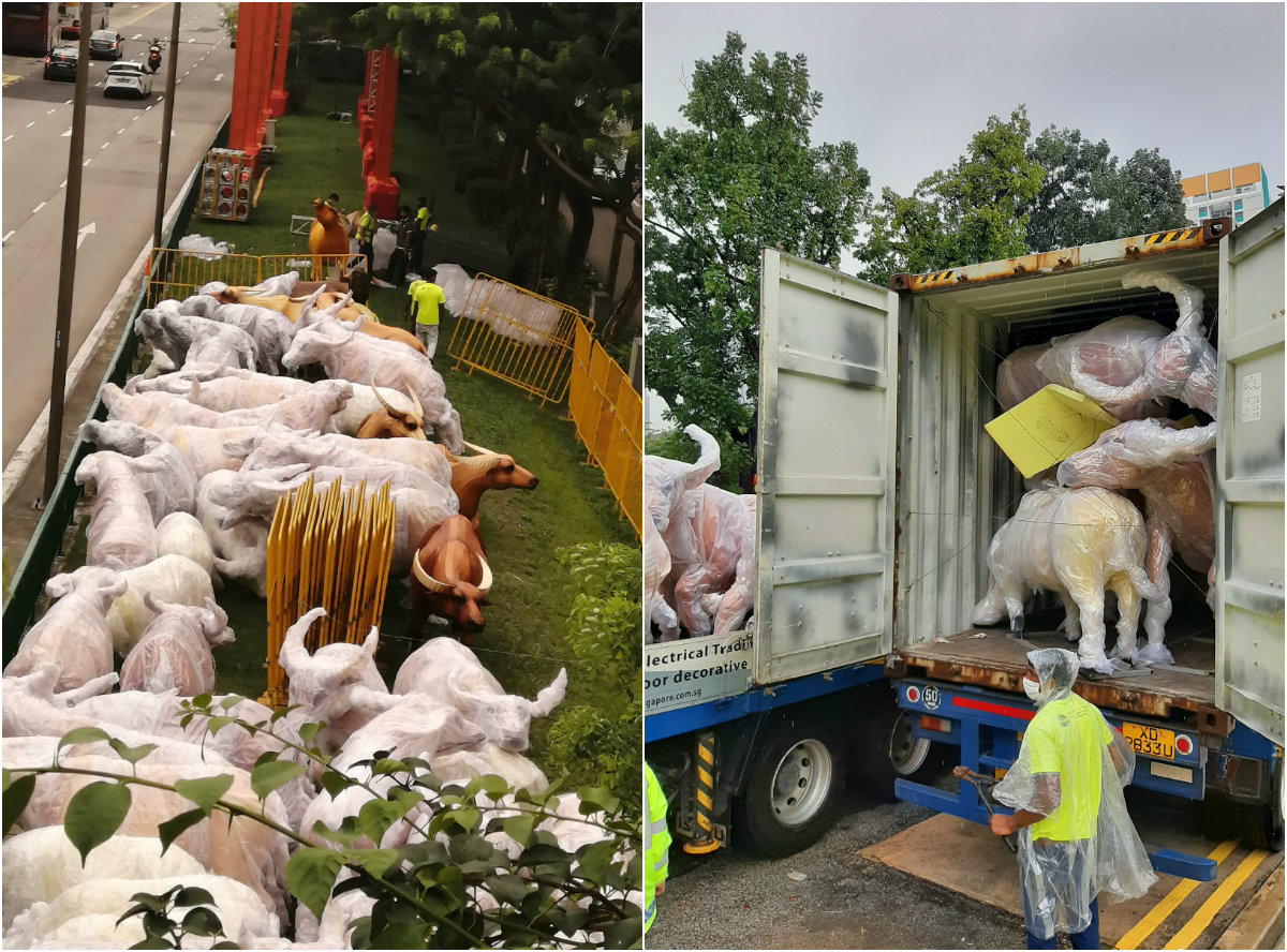 Plastic-covered ox statues crammed together. Photos: Andrew Kong/Facebook, Sk How/Facebook
