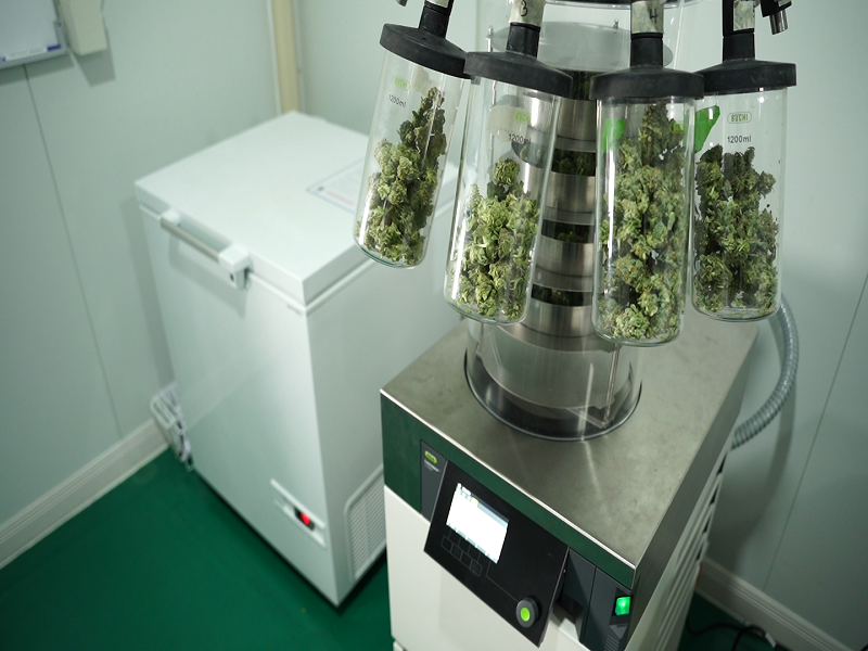 A cryo-cure machine used to freeze-dry cannabis. Photo: Golden Triangle Group / Courtesy