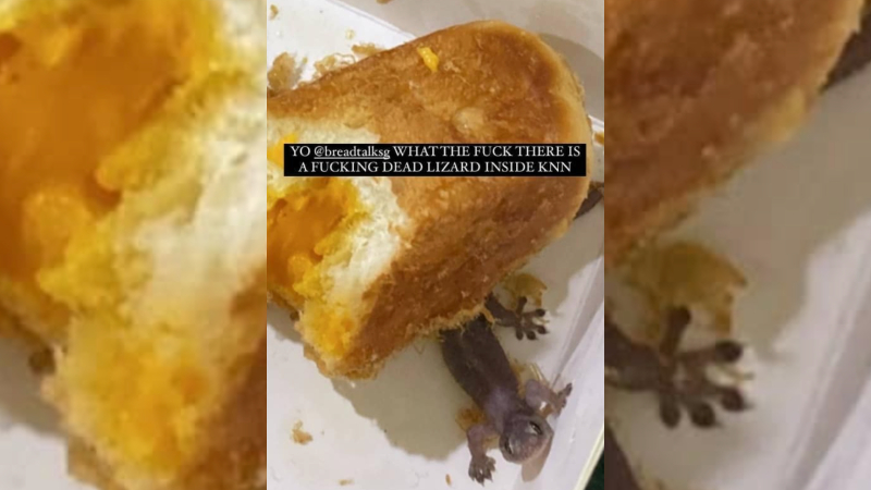 A picture of the dead lizard found in bread box from BreadTalk. Photo: SgfollowsAll/Instagram
